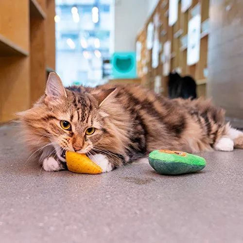 Pet Craft Supply Funny Enticing Crinkle Pouncing Cuddling Chasing Catnip & Silvervine Juguetes interactivos de alivio del aburrimiento para gatos