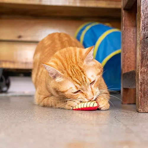Pet Craft Supply Funny Enticing Crinkle Pouncing Cuddling Chasing Catnip & Silvervine Juguetes interactivos de alivio del aburrimiento para gatos