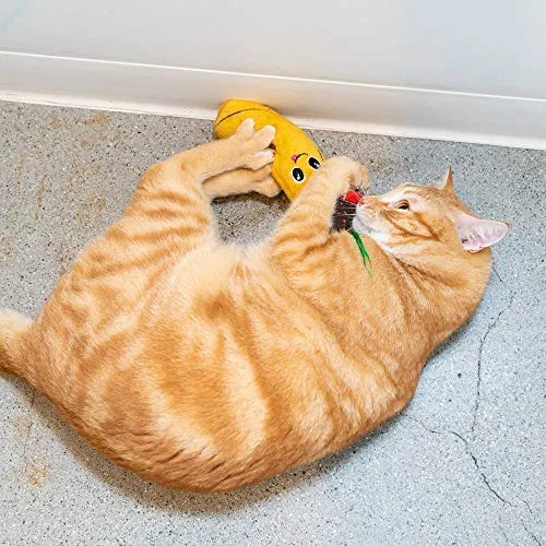 Pet Craft Supply Funny Enticing Crinkle Pouncing Cuddling Chasing Catnip & Silvervine Juguetes interactivos de alivio del aburrimiento para gatos