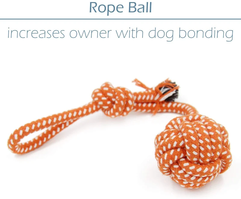 Conjunto de juguetes para perro pequeño, paquete de 6, balón, cuerda y juguetes para masticar para cachorro