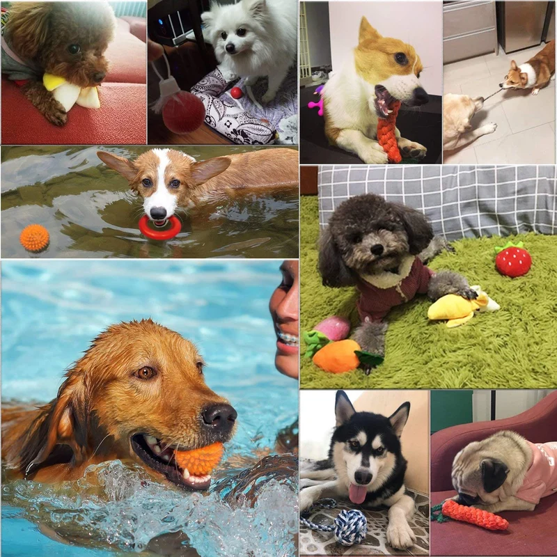 Conjunto de juguetes para perro pequeño, paquete de 6, balón, cuerda y juguetes para masticar para cachorro