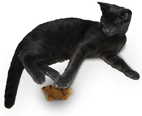 Juguete para gato OurPets Play-N-Squeak