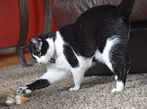 Juguete para gato OurPets Play-N-Squeak