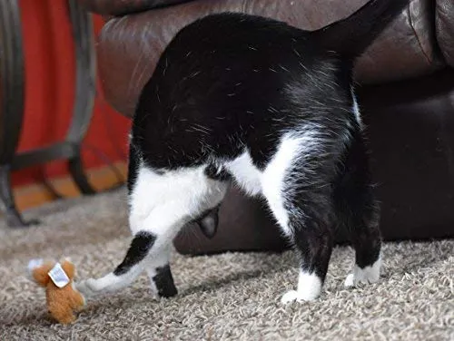 Juguete para gato OurPets Play-N-Squeak