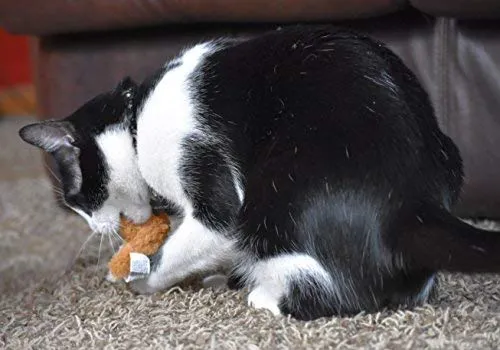 Juguete para gato OurPets Play-N-Squeak