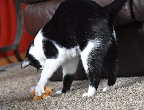 Juguete para gato OurPets Play-N-Squeak