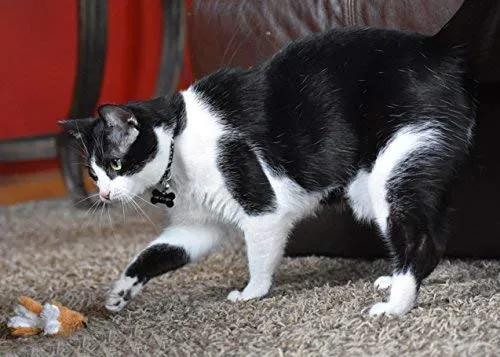 Juguete para gato OurPets Play-N-Squeak