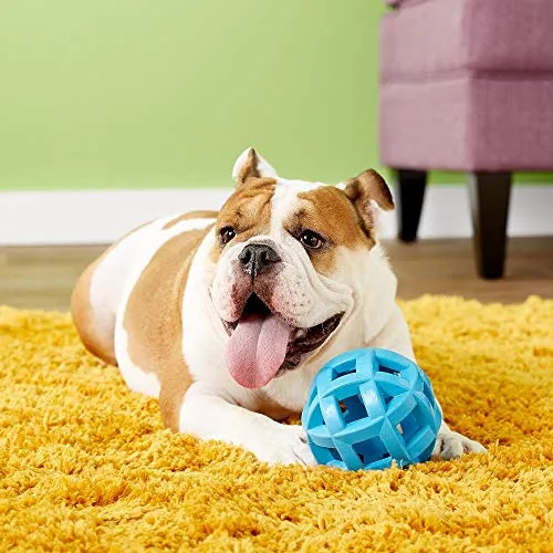 JW Pet Company HOL-ee Roller X Extreme 5 Juguete para perro, 5 pulgadas (los colores varían) – 43140