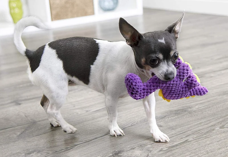 GoDog Dinos Bruto con tecnología de protección para masticar juguete para perro, Mini, morado