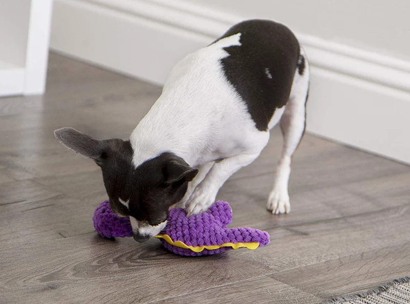 GoDog Dinos Bruto con tecnología de protección para masticar juguete para perro, Mini, morado