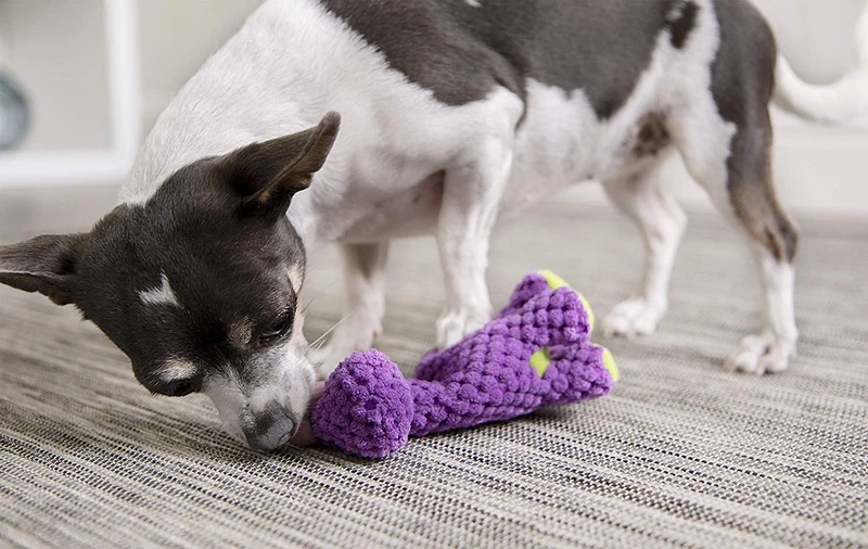 GoDog Dinos Bruto con tecnología de protección para masticar juguete para perro, Mini, morado