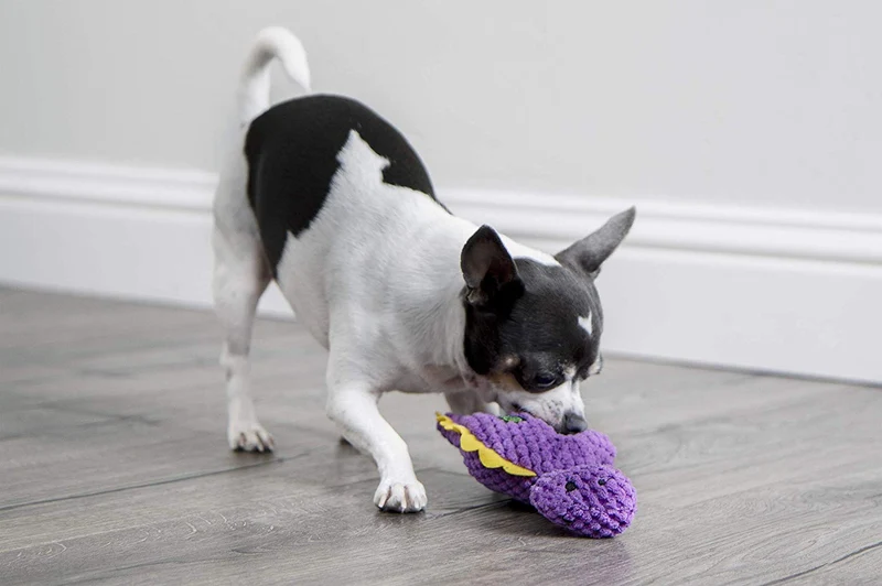 GoDog Dinos Bruto con tecnología de protección para masticar juguete para perro, Mini, morado