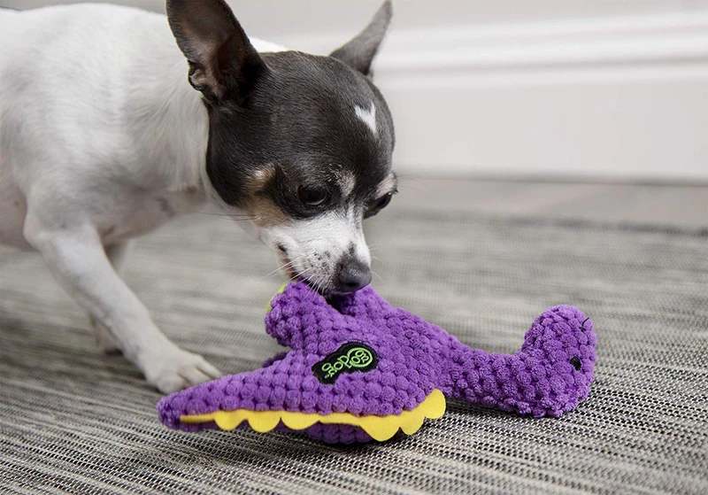 GoDog Dinos Bruto con tecnología de protección para masticar juguete para perro, Mini, morado
