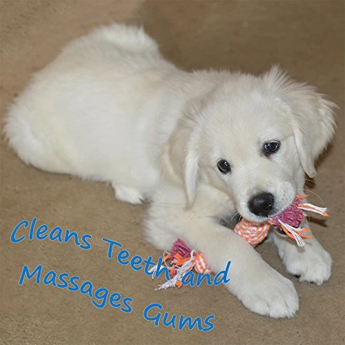 Cuerda masticable de juguete para cachorro Set dental pequeño para perros pequeños y medianos