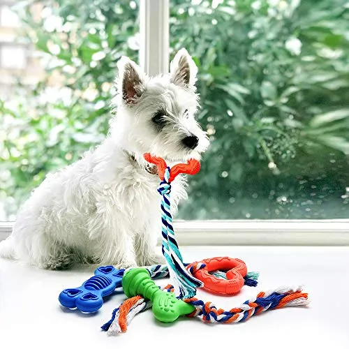 Juguetes para masticar de la raza de cachorros y perros pequeños de Star Factory. Alivia el dolor de encías y dentición, limpia los dientes, reduce la masticación destructiva y la ansiedad. Duradero, saludable, de goma y algodón natural, paquete de 4