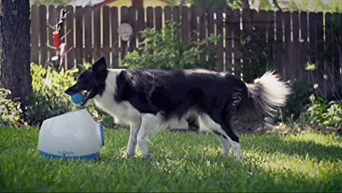 iFetch Interactive Ball Launchers for Dogs