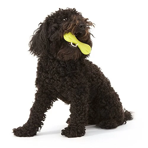 Juguete de hueso de perro, masticable West Paw Diseño Zogoflex Hurley, duro