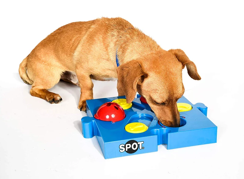 Ethical Pets Despachador de bocadillos para perros "Seek-a-Treat Flip 'N Slide"