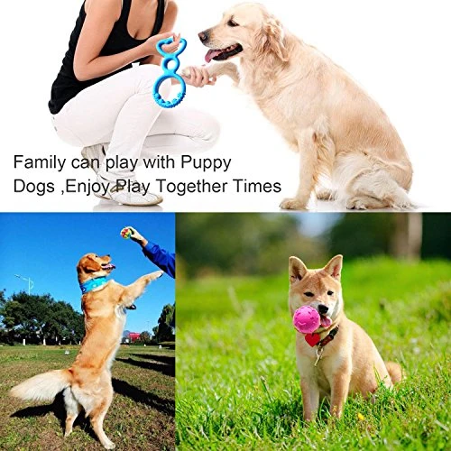 SZKOKUHO - Juego de 17 juguetes duraderos para masticar cachorros y perros, diseño de seguridad