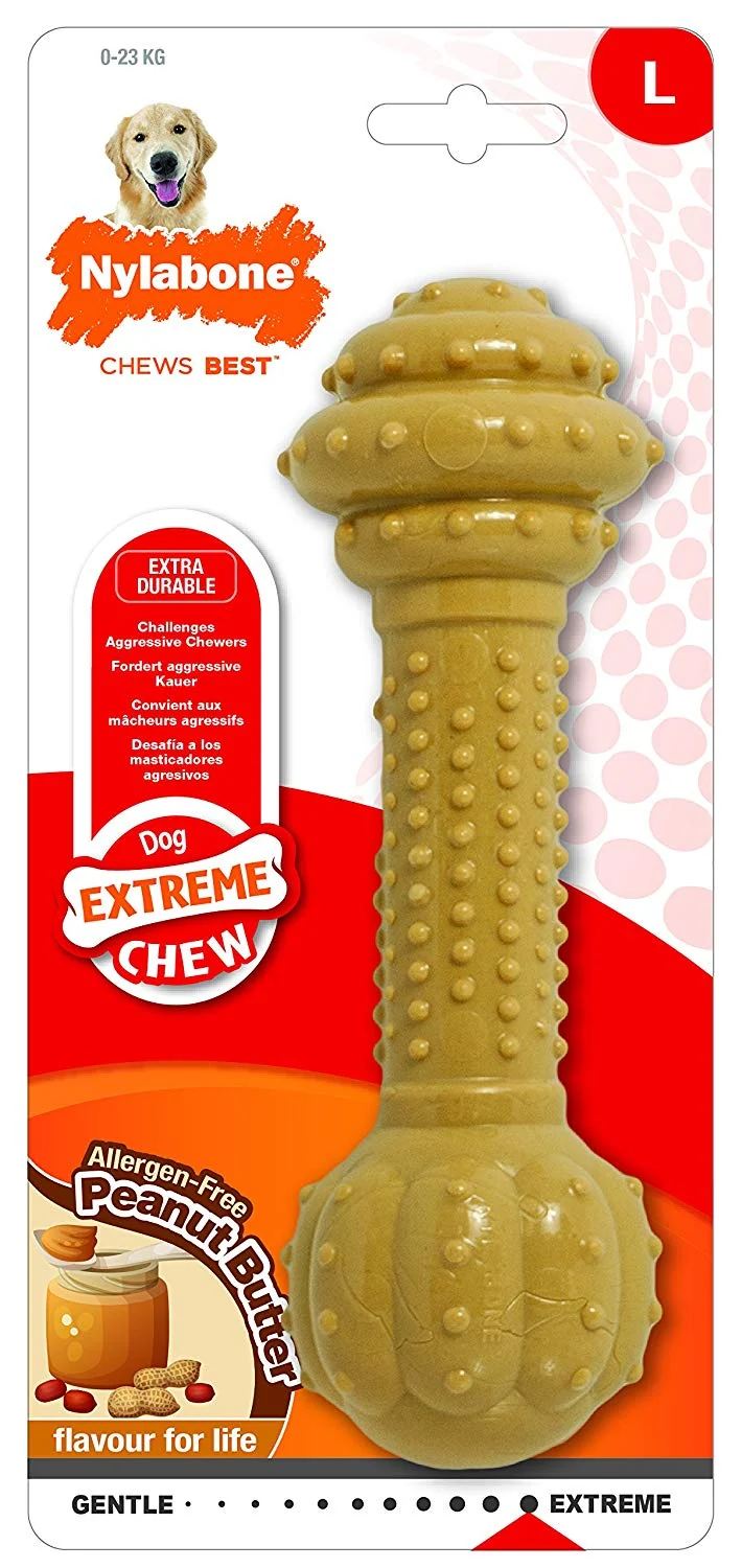 Nylabone Sólo para cachorros pequeños chupete pequeño de hueso, jueguete para masticar para cachorros