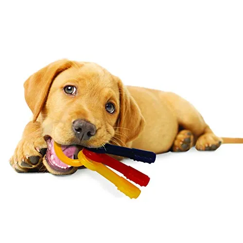 Nylabone Sólo para cachorros pequeños chupete pequeño de hueso, jueguete para masticar para cachorros