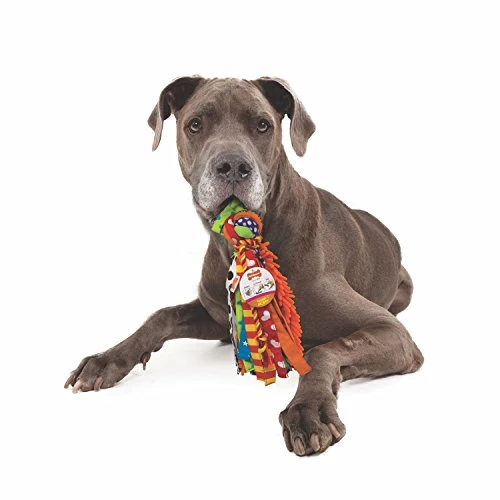 Nylabone Happy Moppy Juguete interactivo de perro para morder