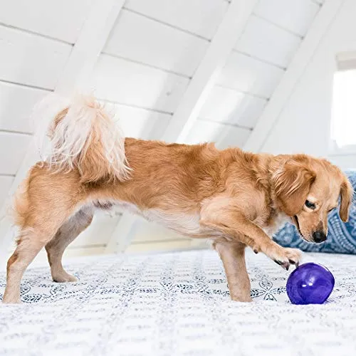 Planet Dog Orbee-Tuff Snoop - Juguete para perro despachador de alimento
