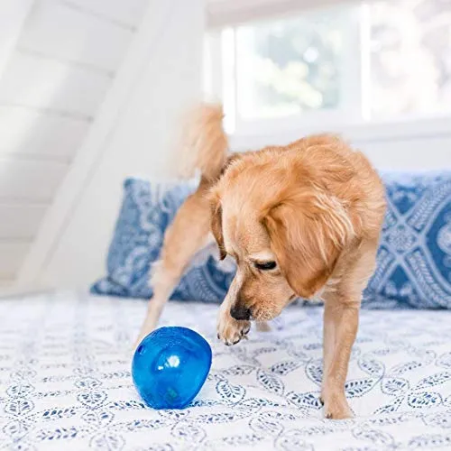 Planet Dog Orbee-Tuff Snoop - Juguete para perro despachador de alimento