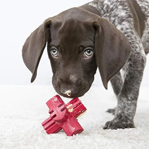 KONG Jump N Jack Dental Dog Toy