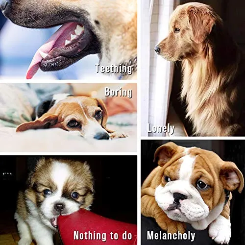 Petbobi Juguetes para perros Juguetes para dentición de perros, Juguetes para masticar mejor cachorro Juguetes de felpa para perro Juguetes para masticar Juguetes Squeaky Set de Cuerda con Bolas 6 piezas