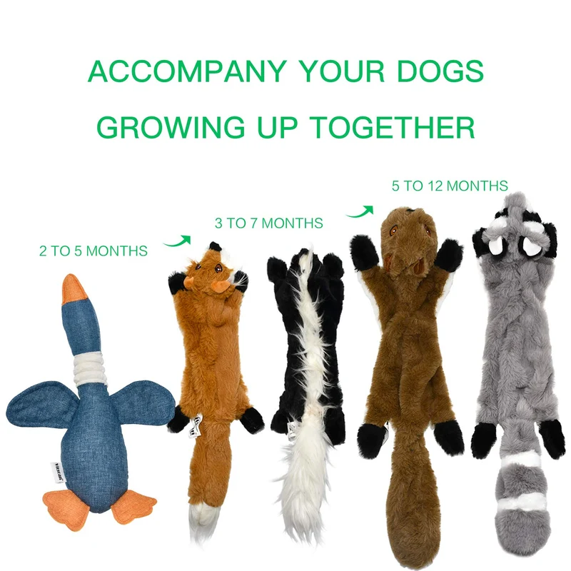 Legend - Juego de juguetes de peluche para perro, paquete de 5 juguetes de ardilla, juguetes para masticar sin rellenar con bolsa de almacenamiento