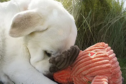 HuggleHounds - Juguete de peluche chirriante para perros con nudos para masticadores agresivos