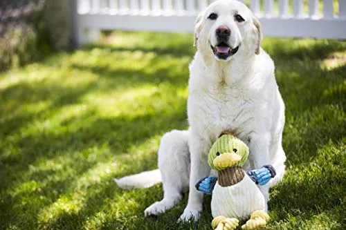 HuggleHounds - Juguete de peluche chirriante para perros con nudos para masticadores agresivos