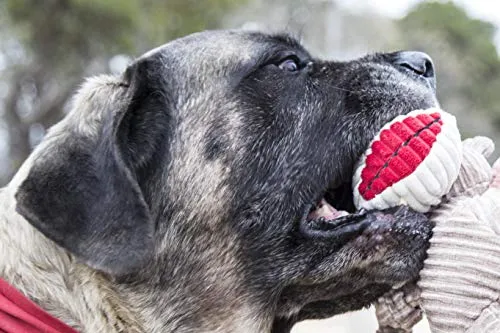 HuggleHounds - Juguete de peluche chirriante para perros con nudos para masticadores agresivos