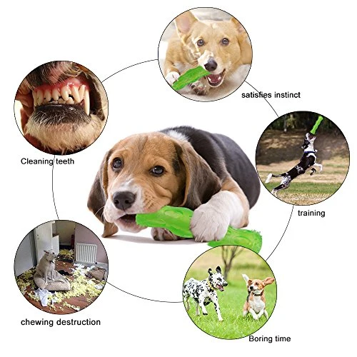 CEESC Juguete para masticar perros, limpieza de dientes de hueso y juego de rompecabezas para cachorro, 3 tamaños y 3 opciones de colores