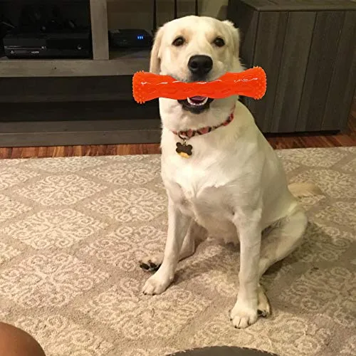 CEESC Juguete para masticar perros, limpieza de dientes de hueso y juego de rompecabezas para cachorro, 3 tamaños y 3 opciones de colores