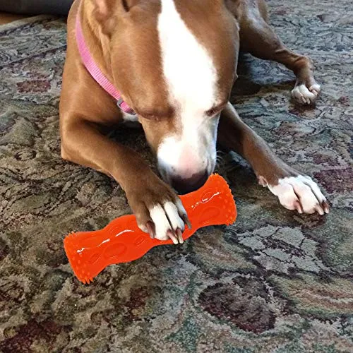 CEESC Juguete para masticar perros, limpieza de dientes de hueso y juego de rompecabezas para cachorro, 3 tamaños y 3 opciones de colores