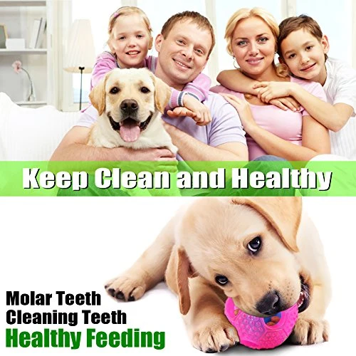 CHLEBEM Juguetes interactivos para perro, juguete para masticar para perros pequeños y medianos, dispensador de alimentos IQ Treat, puzle para cachorros y mascotas, bola de goma resistente y duradera, mejor limpieza de bolas de dientes para perros (azul)