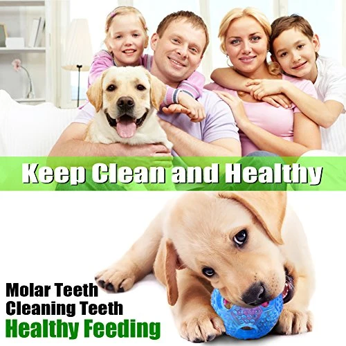 CHLEBEM Juguetes interactivos para perro, juguete para masticar para perros pequeños y medianos, dispensador de alimentos IQ Treat, puzle para cachorros y mascotas, bola de goma resistente y duradera, mejor limpieza de bolas de dientes para perros (azul)