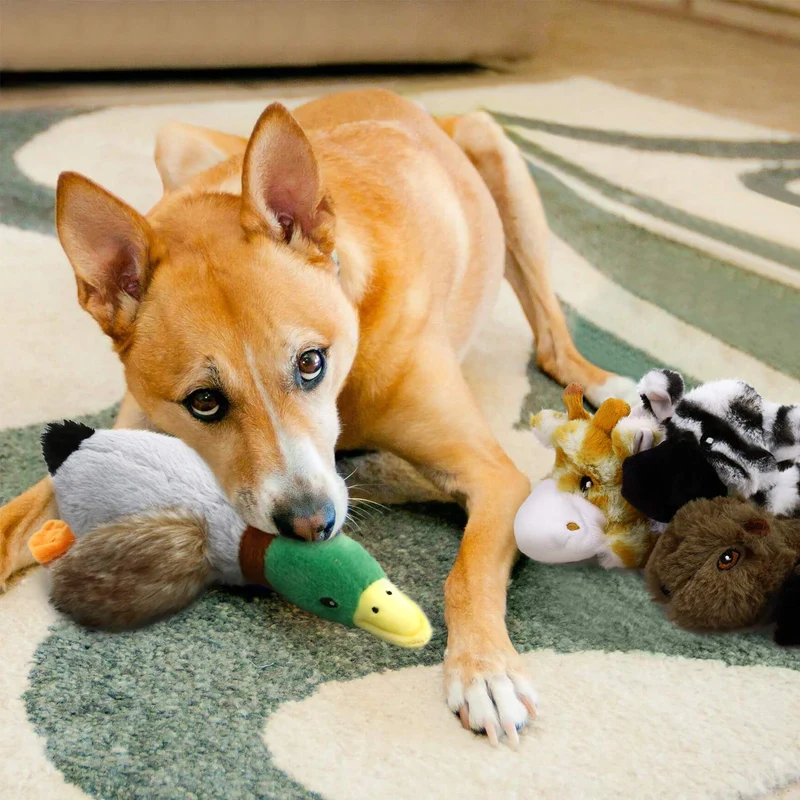Toozey - Juguetes chirriantes para perro, 5 unidades, tres juguetes para perros sin pelusa y tres juguetes de peluche para mascotas con relleno, juguetes para masticar perros seguros para perros pequeños, medianos y grandes