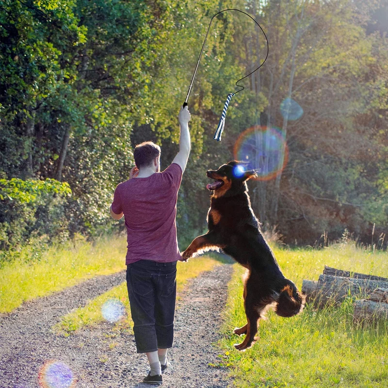 POPETPOP - Juguete para perro, extensible, para entrenamiento, con 2 cuerdas, para masticar juguetes (talla L)