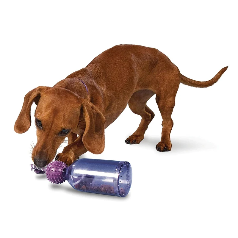 PetSafe Busy Buddy Tug-A-Jug Meal-Dispensing Dog Toy Use with Kibble/Treats