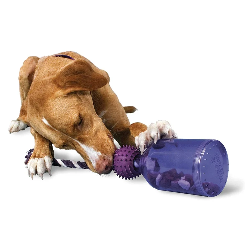 PetSafe Busy Buddy Tug-A-Jug Meal-Dispensing Dog Toy Use with Kibble/Treats