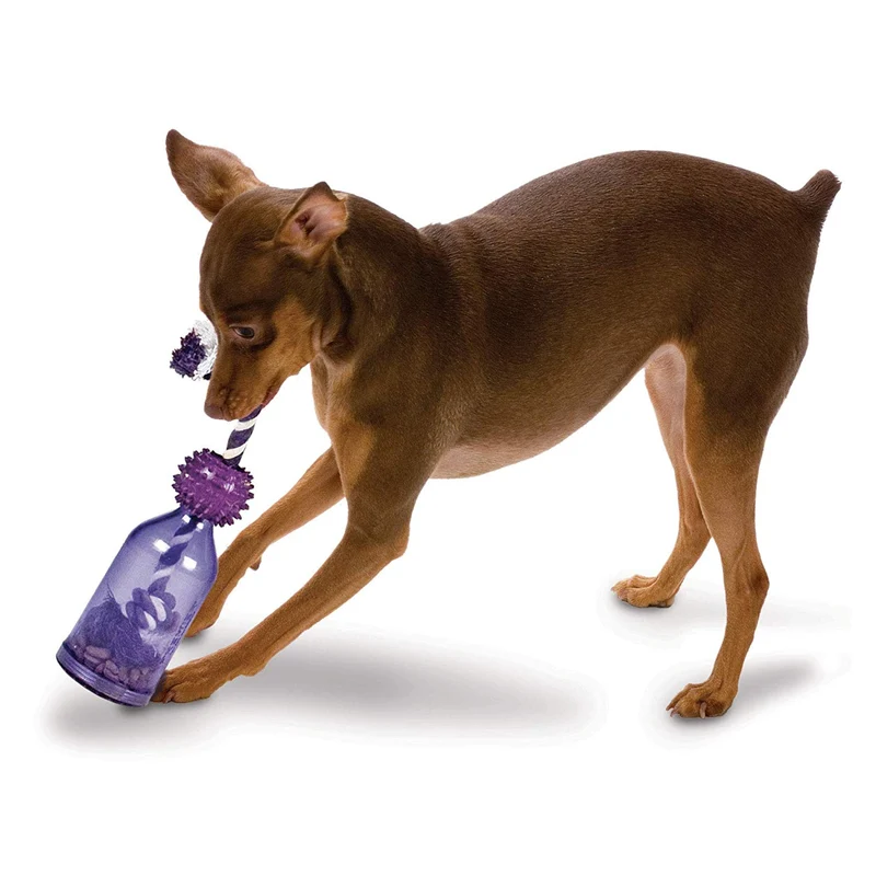 PetSafe Busy Buddy Tug-A-Jug Meal-Dispensing Dog Toy Use with Kibble/Treats