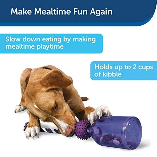 PetSafe Busy Buddy Tug-A-Jug Meal-Dispensing Dog Toy Use with Kibble/Treats