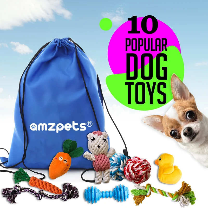 AMZpets 10 juguetes más populares para perros pequeños y cachorros. Juguetes de peluche, juguetes de cuerda, juegos de peluche, cuerdas de masticar, bolas, hueso de goma, bolsa de transporte. Juego de juegos variados para Toss & Tug Play.