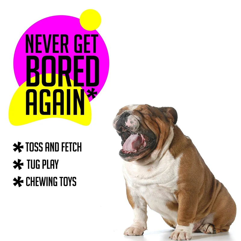 AMZpets 10 juguetes más populares para perros pequeños y cachorros. Juguetes de peluche, juguetes de cuerda, juegos de peluche, cuerdas de masticar, bolas, hueso de goma, bolsa de transporte. Juego de juegos variados para Toss & Tug Play.