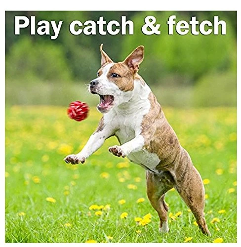 AMZpets 10 juguetes más populares para perros pequeños y cachorros. Juguetes de peluche, juguetes de cuerda, juegos de peluche, cuerdas de masticar, bolas, hueso de goma, bolsa de transporte. Juego de juegos variados para Toss & Tug Play.