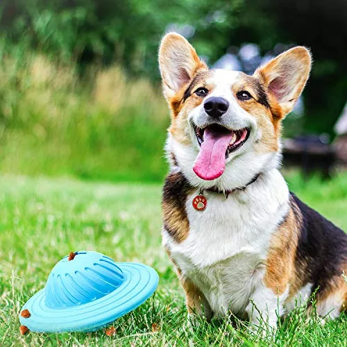 Wisedom Dog Treat Ball IQ Interactive Food Dispensing Puzzle Toys for Dogs Chasing Chewing Playing