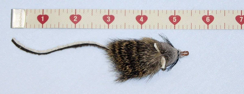 CoolCyberCats Fun Rat Pack - Recambio de accesorios para cañas de pescar Wildcat y populares